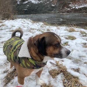 Meet your Posher, Mariska